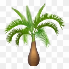 Palm Tree Png Resolution600x593 Transparent Png Image - Spindle Palm With Transparent Background Emoji,Palm Tree Emojis