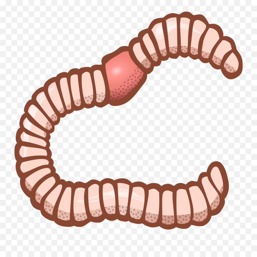 Worm Clipart Outline Worm Outline - Metropolitan Municipality Cultural Park Emoji,Earthworm Emoji