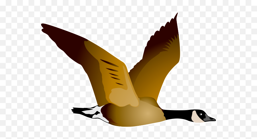 Tims Stickers - Duck Emoji,Canadian Goose Emoji
