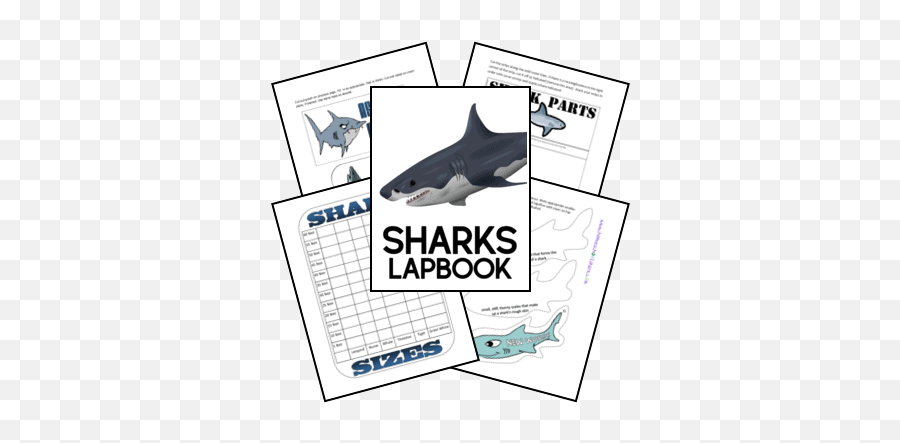 Fortunately Unit Study U0026 Printables U2013 Homeschool Share - Great White Shark Emoji,Guy Gives A Shark Book Emotions