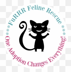Furrr Feline Rescue - Dot Emoji,Ech Cat Emotion