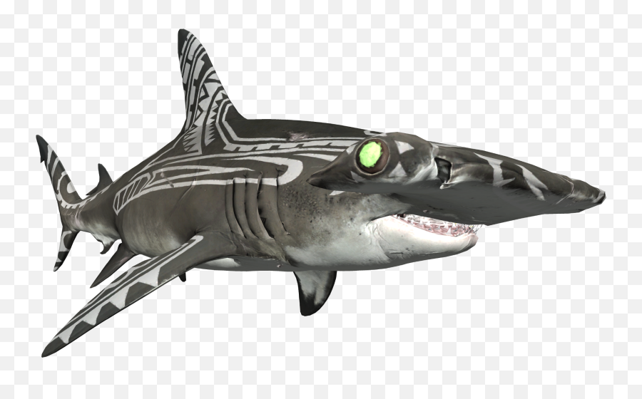 Paypal Webmoney Bitcoin - Mackerel Sharks Emoji,Shark Emoticon Depth