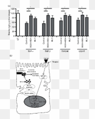Tnf Superfamily Members Promote Hepatitis C Virus Entry Via Emoji,Cách Vi?t Emoticon Gi?n Gi?