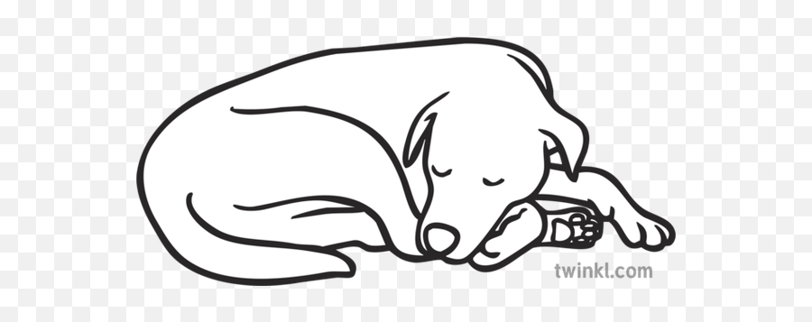 Dog Curled Up Sleeping Pet Asleep Ks1 Black And White Emoji,Grayscale Anime Funny Emoticon