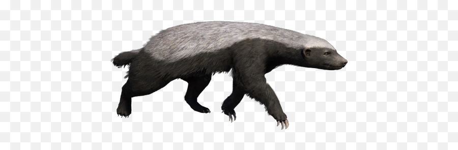 Honey Badger Png Pic Png Arts Emoji,Badger Emoji