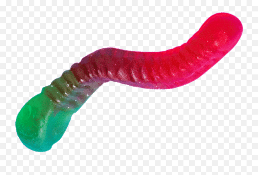 Top Cateerpilar Caterpillar Stickers - Wiggle Gummy Worm Gif Emoji,Caterpillar Emoji