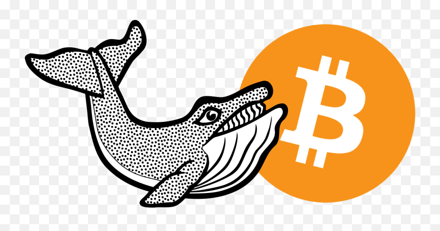 Bitcoin Whales Explained Who They Are And Why Theyu0027re Important - Png Bitcoinlogo Emoji,Whale Emoticon Text