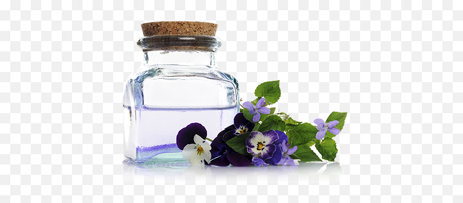 What Is Aromatherapy Aroma360 - Aromatherapy Png Emoji,Emotions And Essential Oils 2018