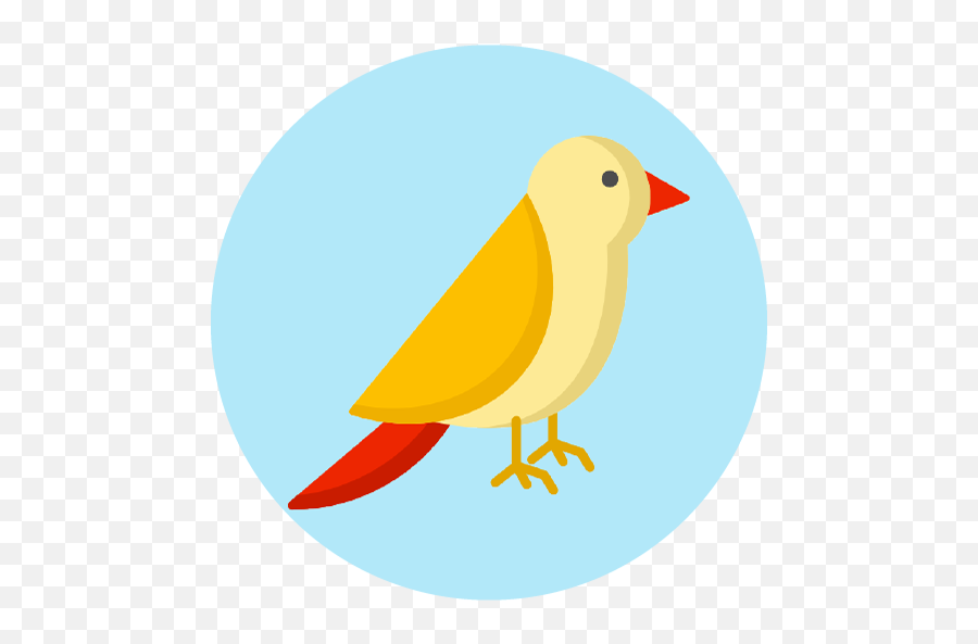 Wont Load Problems - Finches Emoji,Guess The Emoji Bird