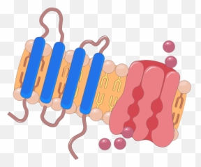 Smart - Servier Medical Art Smart Servier Emoji,How To Share Emotions Picyures
