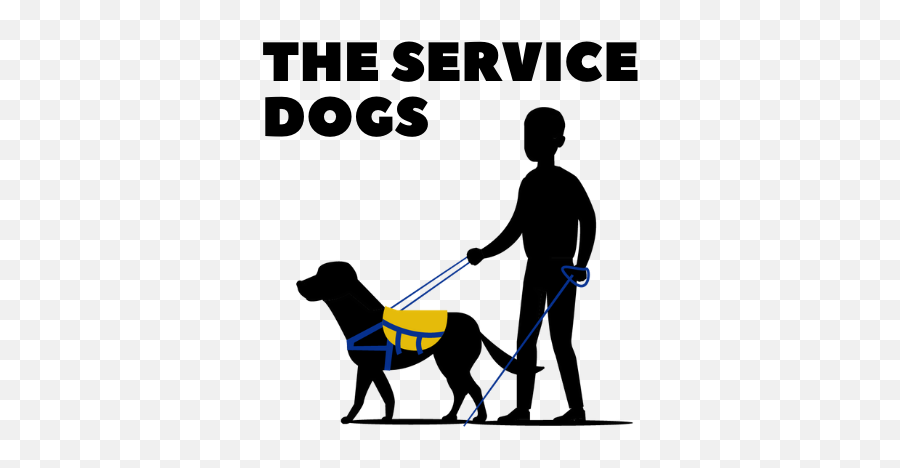 Best Service Dog Breed U0026 How To Choose One The Service Dogs - Diggers Are Coming Emoji,Looking For A Lap Dog And One That Responds To Emotion