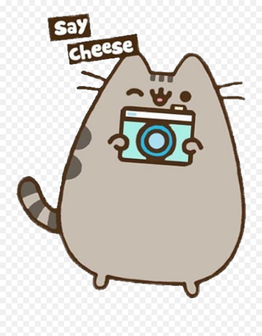 Cat Camera Cameracat Cute Love Summer Kitten - Cute Pusheen Cat With Camera Emoji,Free Cute Kittenl Emoticons