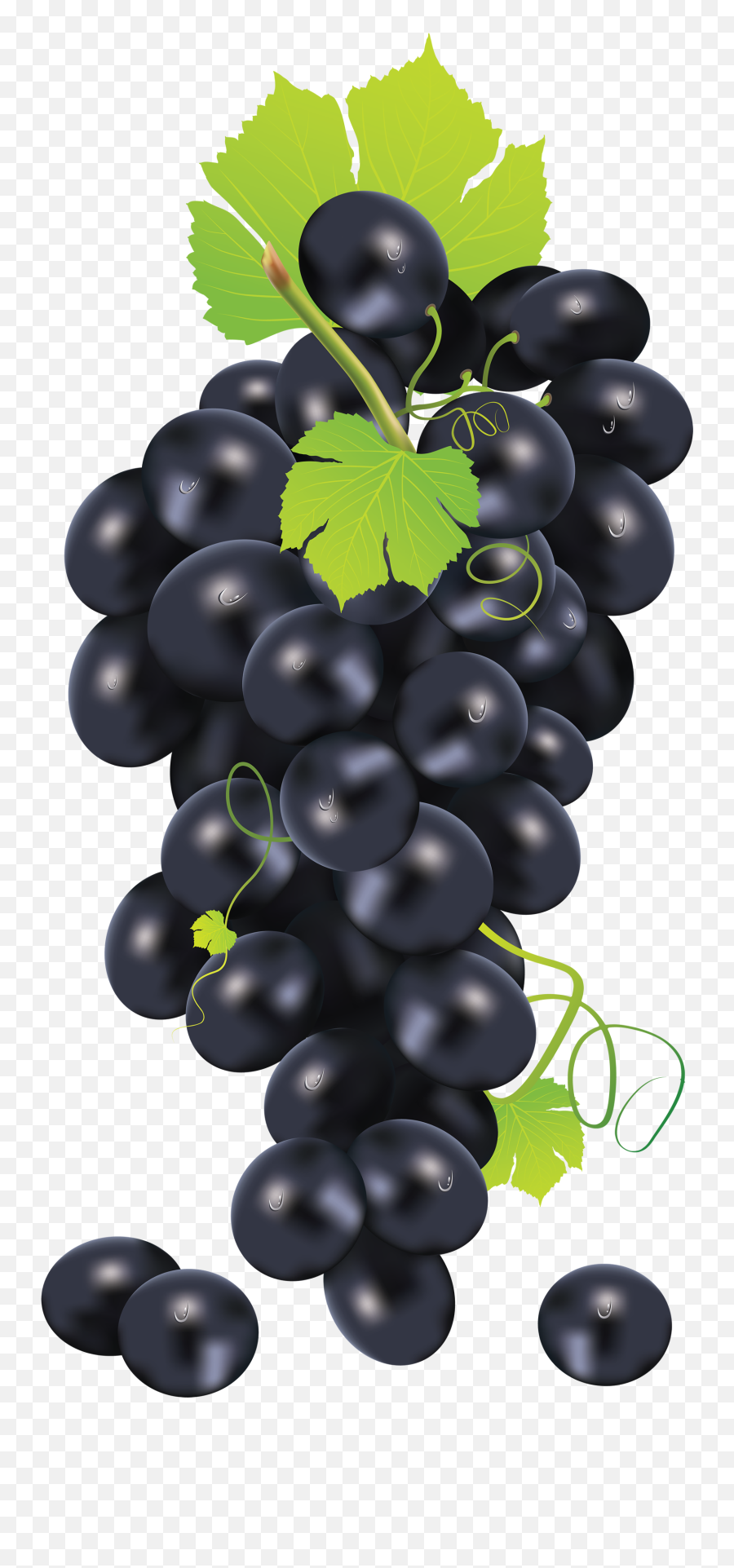 Black Grape Png Image - Black Grapes Png Transparent Transparent Black Grapes Emoji,Grape Emoji