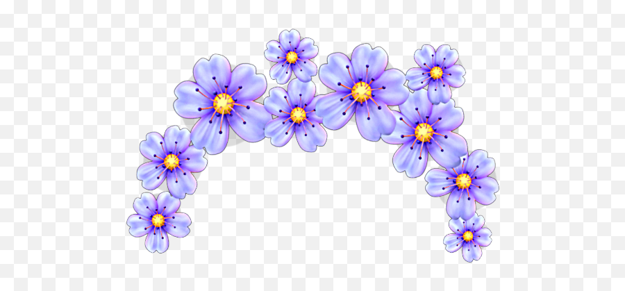 Download Emoji Flower Crown Png Png U0026 Gif Base - Floral,Daisy Emoji