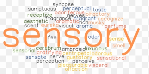 Synonyms And Related Words - Dot Emoji,Sensory Table And Emotions