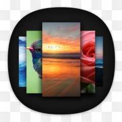 Apex Wallpaper - Whatsapp Wallpapersu0026touch Effect V150 Rose Emoji,New Emoji Backgrounds