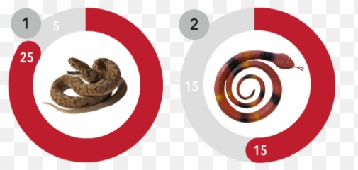 Repeated Measures - Language Emoji,Do Snakes Show Emotion