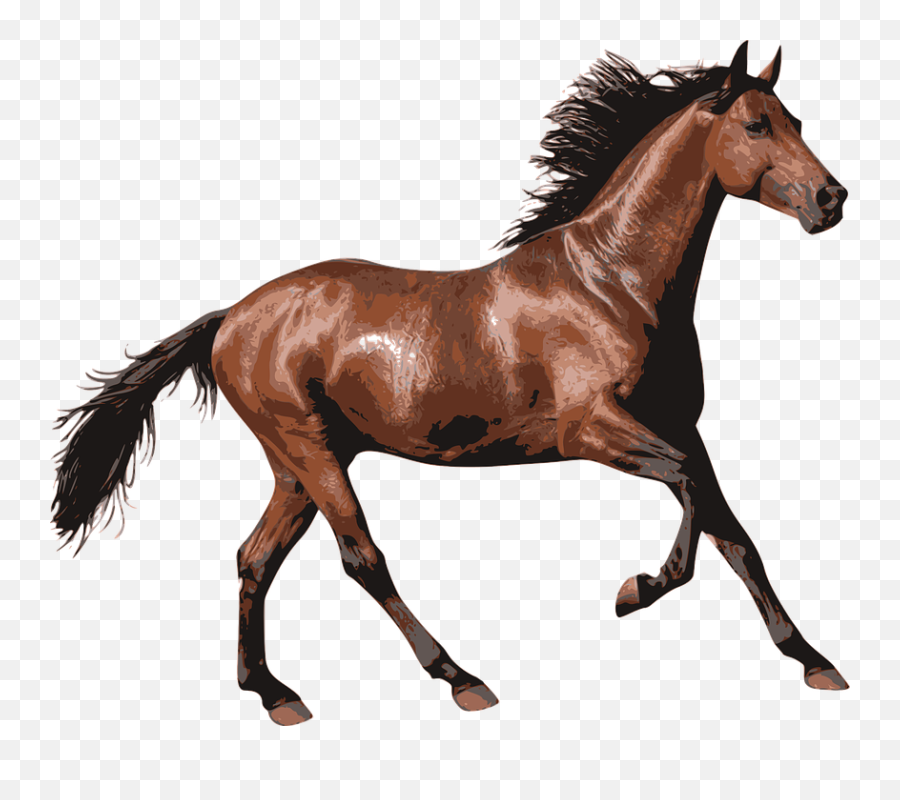 500 Free Riding U0026 Horse Vectors - Pixabay Horse Transparent Emoji,Horse Emotions