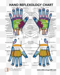 Hand Reflexes Chart - Reflexology Chart Hands Jaw Emoji,Emotions Of The Splenic Flexure