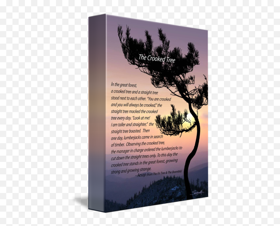 92 Spadecaller Fine Art Ideas Fine Art Nature Images Art - Crooked Tree Story Emoji,My Canvas Is The Tapestry Of Human Emotion