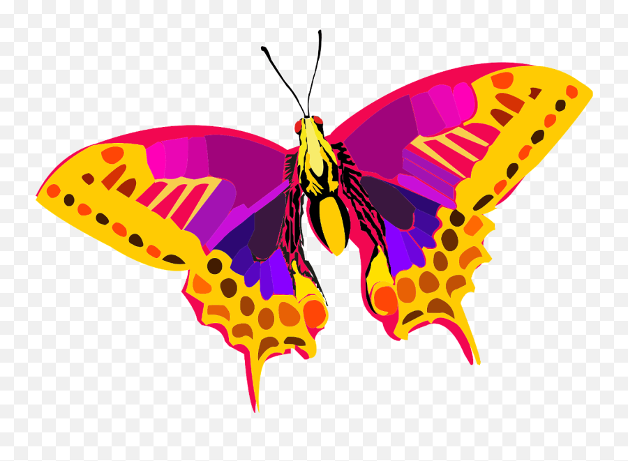 Talk About Beautiful Things - Baamboozle Colorful Butterfly Png Emoji,Purple Butterfly Emojis