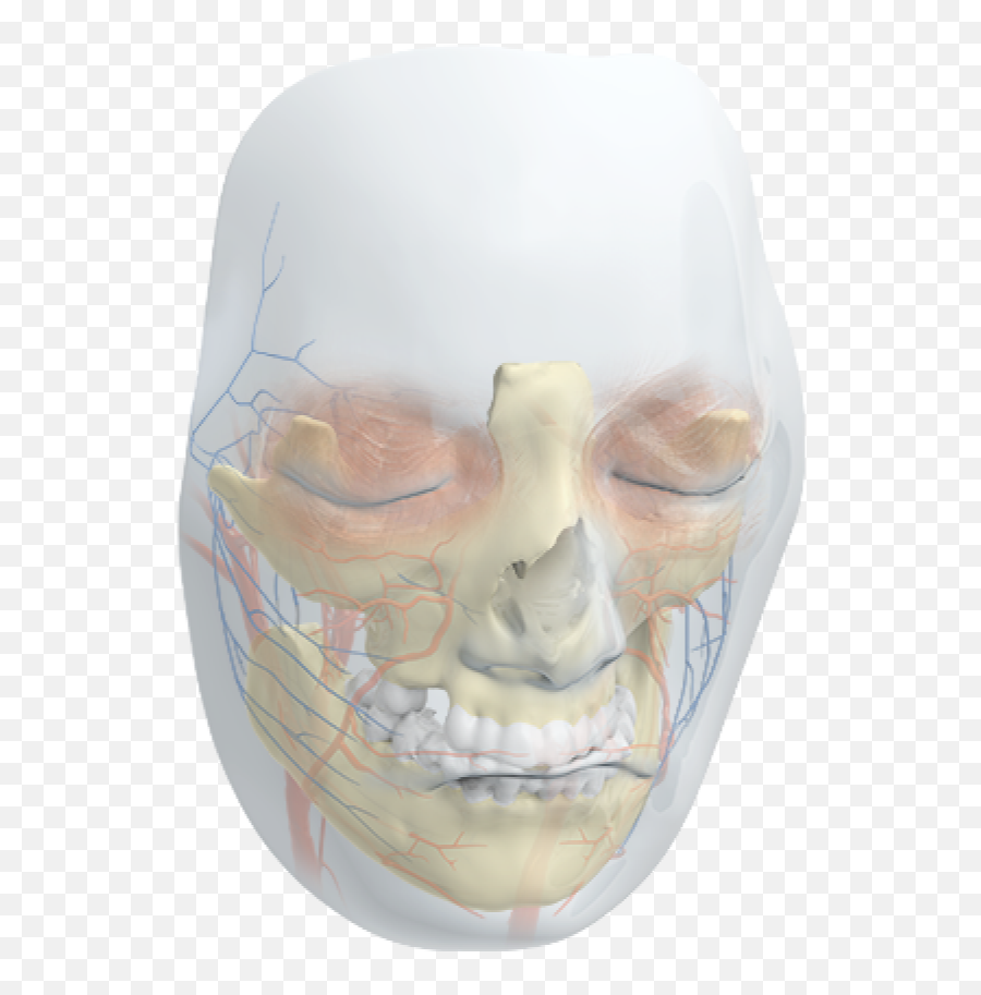See How Trailblazing Science Fixed A Wounded Face - Scary Emoji,Facial Emotion Despair