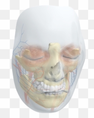 See How Trailblazing Science Fixed A Wounded Face - Scary Emoji,Facial Emotion Despair