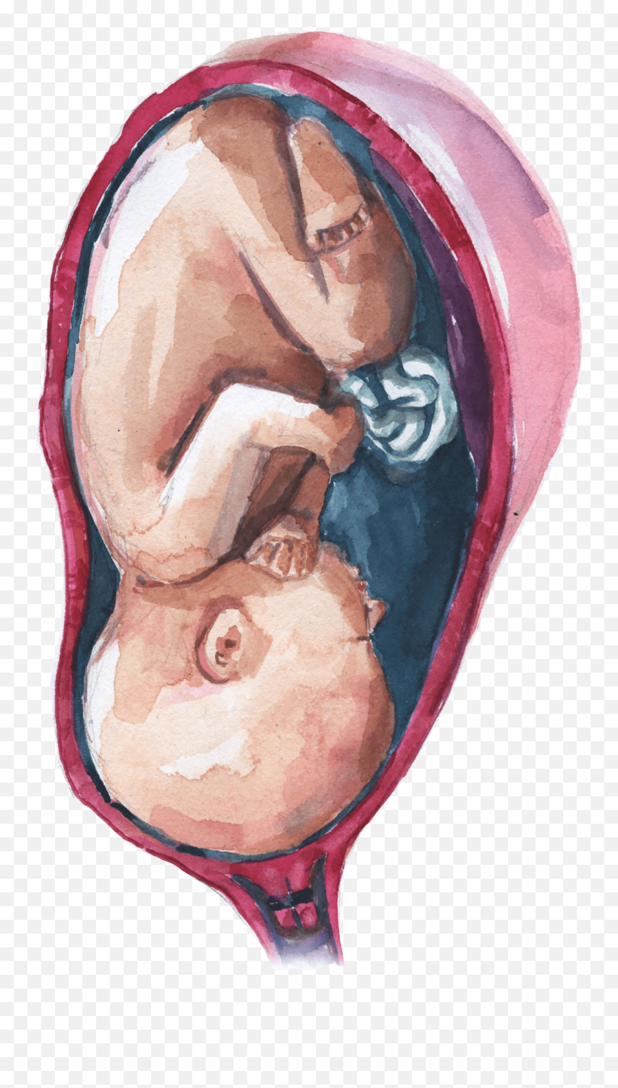 Preterm Birth Galena Innovations - Sketch Emoji,Ultrasound Of Babys Reactions Emotions