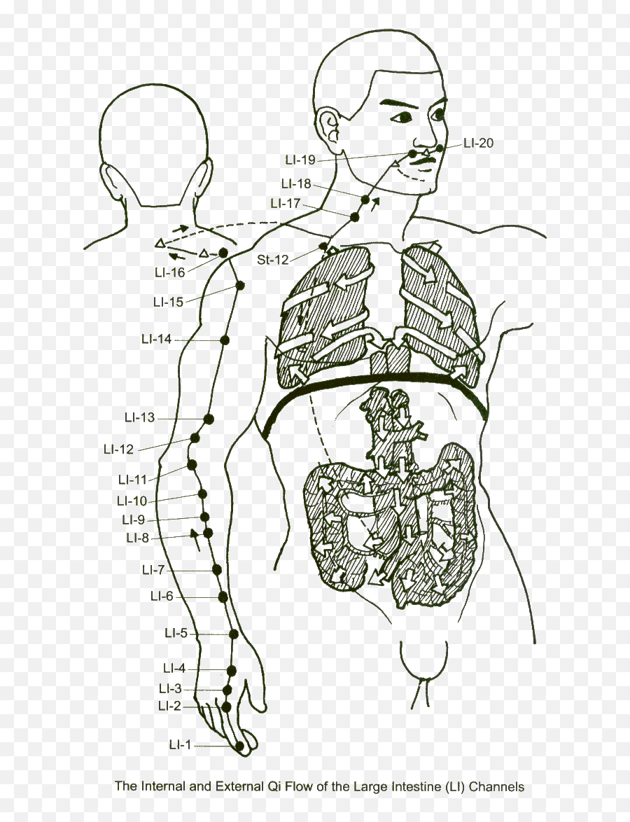 Meridians - Large Intestine Meridian Emoji,Kidney Meridian Emotions