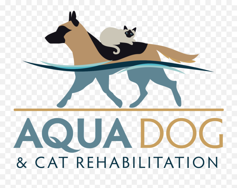 Aqua Dog And Cat Rehabilitation Emoji,Cat Says I Love You And Cant Handle Emotion