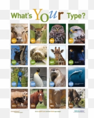 50 Esfj Ideas Esfj Personality Types Mbti Emoji,Intp Feeling Someone's Emotions