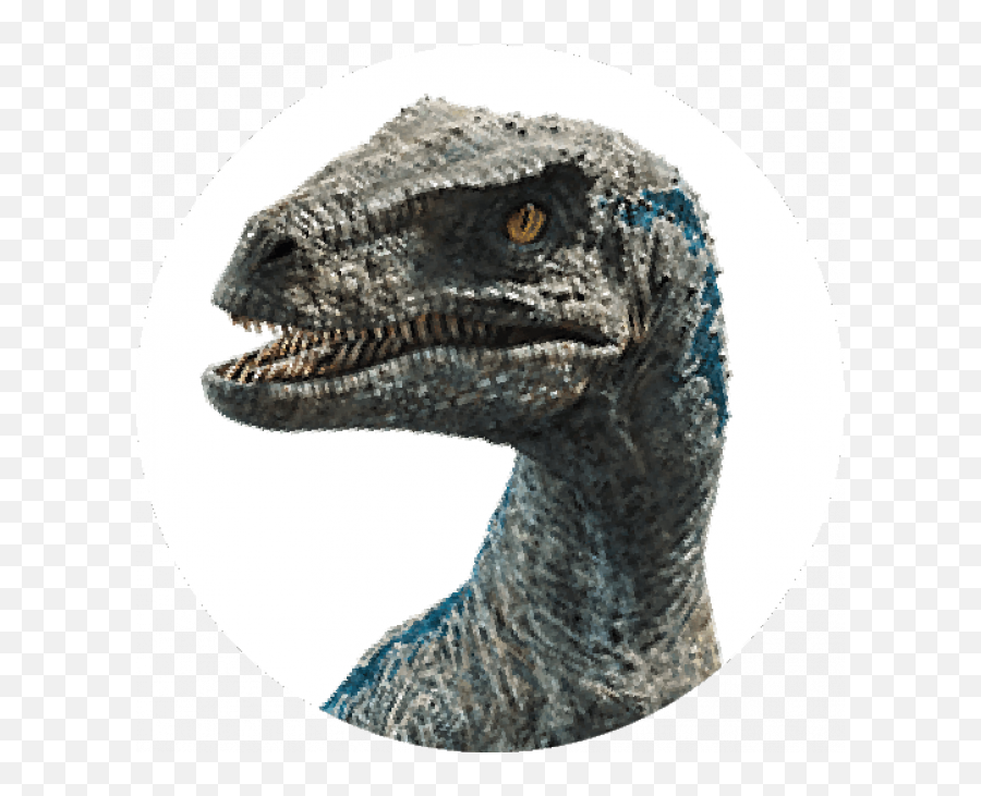 Brands The Cookie Company Group Emoji,Velosciraptor Text Emoticon