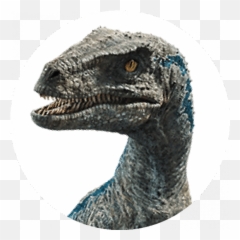 Brands The Cookie Company Group Emoji,Velosciraptor Text Emoticon