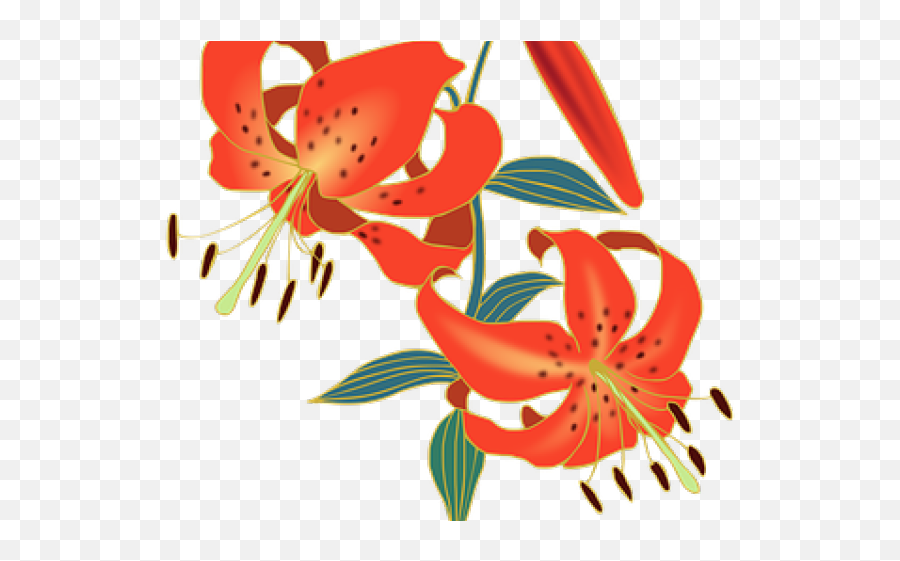 Lily Clipart Red Lily - Tiger Lily Emoji,Lily Pad Emoji