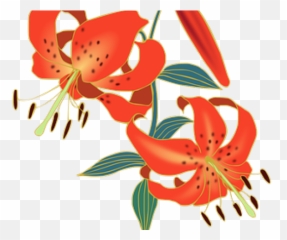 Lily Clipart Red Lily - Tiger Lily Emoji,Lily Pad Emoji