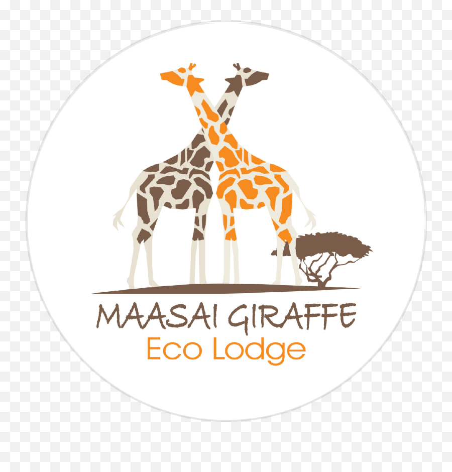 Maasai Giraffe Eco Lodge Campsite Lac Natron Tanzanie - Kielder Observatory Emoji,Giraffe Emoticon Text