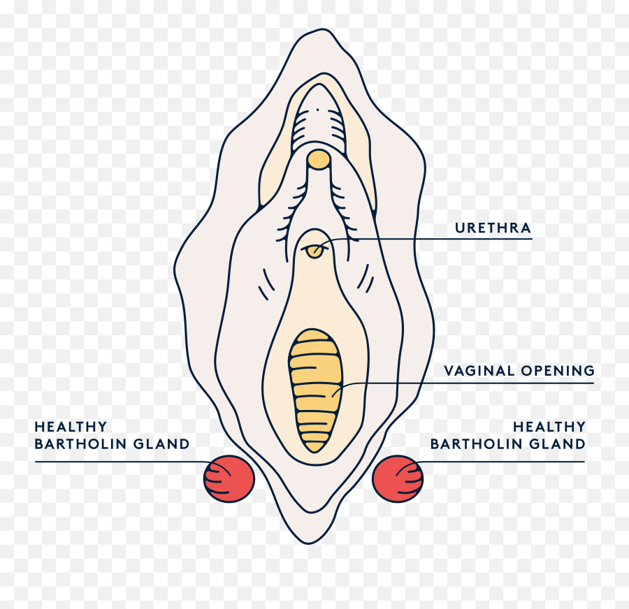 Swollen Vulva You May Have A Bartholin - Language Emoji,Swollen Testicles Emotions