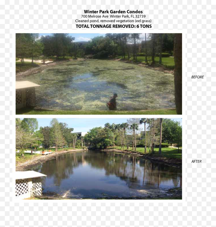 Florida Pond Cleaning - Pond Cleaning Before And After Emoji,Emoji Pond Florida