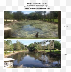 Florida Pond Cleaning - Pond Cleaning Before And After Emoji,Emoji Pond Florida