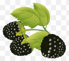 Blackberries Vector Free Eps Vector - Fruit Vector Emoji,Blackberry Emoji
