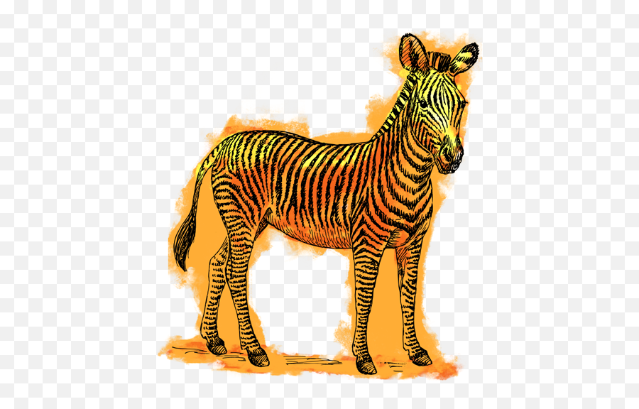What Type Of Word Is U0027fucku0027 Fuck Can Be A Noun An - Zebra Clip Art Emoji,Interjection With Emotions