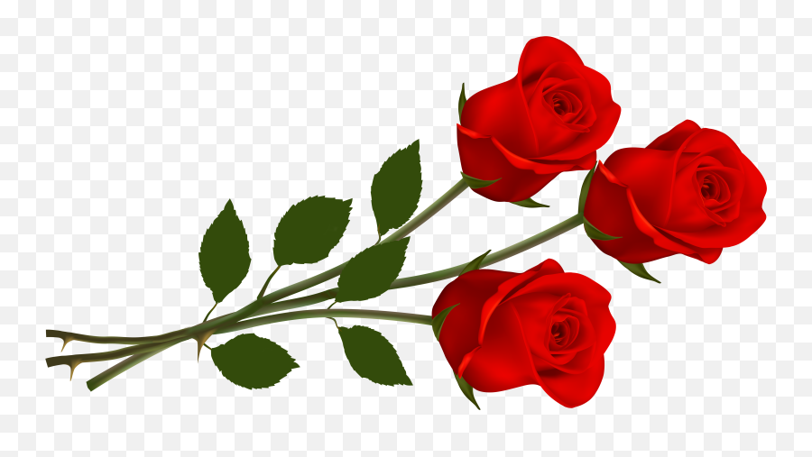 Free Red Roses Png Download Free Red - Picsart Rose Png Hd Emoji,Single Red Rose Emoticon
