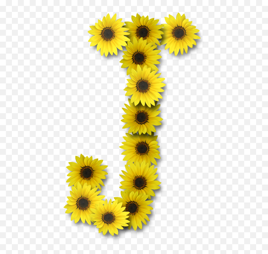 Letter J Sunflower Wallpaper - Design Letter J Emoji,Sunflower Emoji