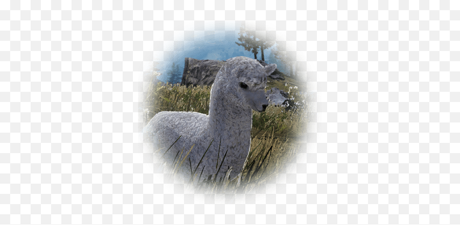 Llama - Llama Bdo Emoji,How To Use Emojis In Bdo