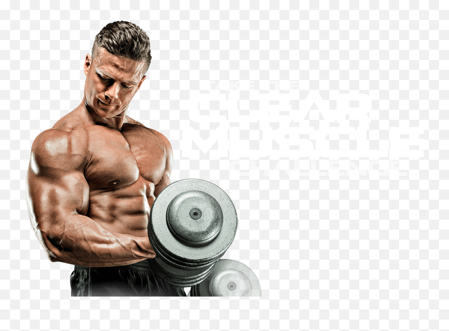Male Fitness Download Transparent Png Image Png Arts - Bodybuilding Png Emoji,Fitness Emojis Transparent Png