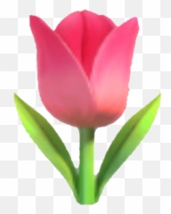 Cherry Blossom Emoji Png - Emoji Tulip Flower Pink Tulip Emoji,Cherry Emoji
