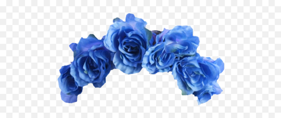 Aesthetic Png Flower Crown - Largest Wallpaper Portal Picsart Blue Flower Crown Emoji,Flowe Emoji