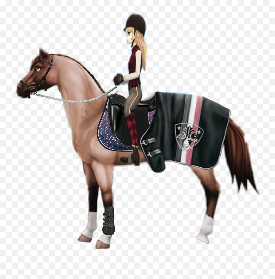 Ssolovehorserider Sticker - Transparent Sso Horses With Riders Emoji,Horse Rider Emoji