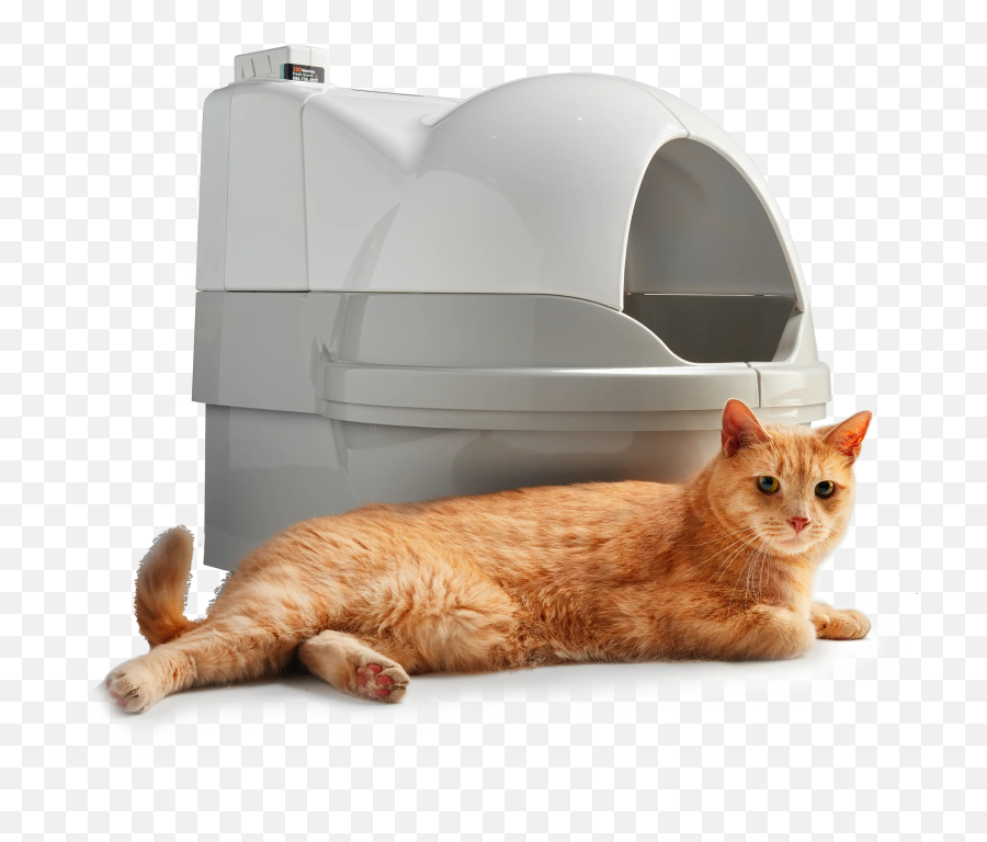 Self - Best Automatic Cat Litter Box Emoji,Cat Using Litter Box Emoticon