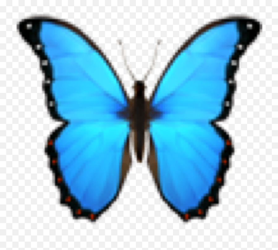 Future Engineers Start A Smile Challenge Gallery - Butterfly Emoji Png,Future Purple Reing Emojis